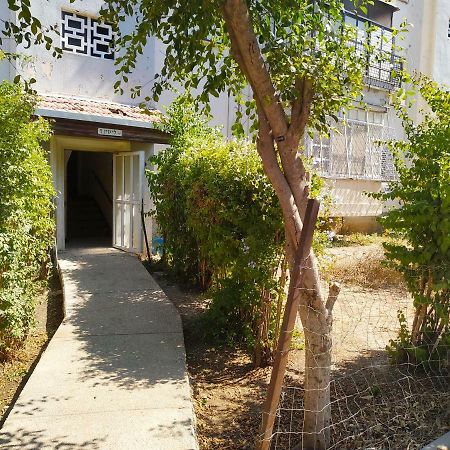 Haifa Lux Apartments E&S 외부 사진
